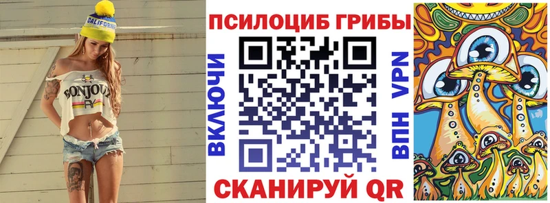 кракен ССЫЛКА  Сунжа  Псилоцибиновые грибы Cubensis 
